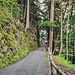 Partie der aufwändig in den Fels gehauenen, gut ausgebauten Alpstrasse ins Lawenatal. Erste fahrbare Strasse ins Lawenatal erbaut 1882 - 1900.