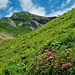 Lawena Obersäss vor dem Hochspeler
