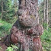 Ein Osterhase