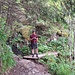 In der Botanik