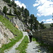 sulla pista degli slittini