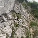 Auf dem Weg zur Stauberenkanzel.