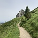 Auf dem Weg in Richtung Staubern.