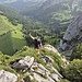 Tiefblick