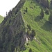 Zoom auf die Schlüsselstelle im Abstieg von der Kuhspitze: Spur zunächst neben der Felskante, dann steil zwischen den Bäumen hindurch (Handeinsatz) an den Fuß der aufgetellten Felsplatten.