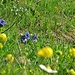 Vereinzelt will sich dann auch noch ein bisschen Blau hinzumischen.