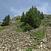 Überraschend schotterig der oberste Abstieg vom Hochgerach.