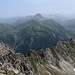 Blick über den Ostgrat zum Widderstein