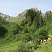 Almauftrieb