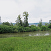 Mühleweiher beim Sandloch.