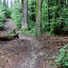Altberg Trails.