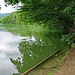 Limmatuferweg.