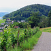 Rückblick zur Hasleren.
