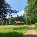 Auf dem Hahnenfalzweg bei einem Forsthaus.<br /><br />