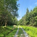 Auf dem Weg um den Rosskopf herum.<br /><br />