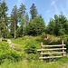 Nun geht’s hinauf zum Hohlohsee.<br /><br />