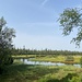 Hohlohsee eingebettet in einem Hochmoor.<br /><br />
