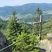 Auf dem Kleinen Latschigfelsen. Das Gestein der Latschigfelsen ist Granit: Forbachgranit.<br /><br />
