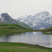 Vogelbüel Seeli.