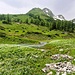 Dann über den Bach, allerdings ist die Brücke etwas beschädigt und gut mit Wasser überspült
