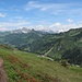 Alpenrosen am Wegesrand