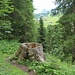 Waldpfad zum Parkplatz an der Uga-Bahn