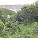 Blick hoch zum Gamsgrat nach dem Latschenk(r)ampf