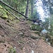 Aufstieg ob Gppenstein