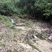 Rio Pedana