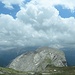 Monte Tae