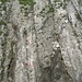 Auf der anderen Seite der Senke geht es steil eine Kletterstelle hinauf (T4, UIAA I).