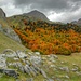 Bunte Herbstwaelder in den Pyrenaeen auf ca. 1600m Hoehe.