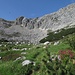 Vorbei an Alpenrosen erfolgt der Anstieg auf Weg Nr. 418 der Richtung Pareispitze rechts aufwärts bis zum oberen Ende der ausgedehnten Latschenfelder. Von dort aus geht es dann auf kleinem Steig links unter den Felswänden hinauf zum Sattel.