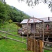 Alpe di Corgella