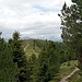Auf dem Steig in Richtung Lutterkof