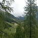 Der Nebel öffnet sich, die Sonne zeigt sich kurz!