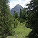 Schwarzbergsattel