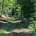 Dieser Weg endet nach wenigen Metern