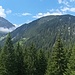 Hier sind besonders gut die untere Wiese, der Latschengürtel und die Gipfelwiese zu erkennen