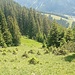 Am linken Ende der Wiese gelangt man zum Schützensteig