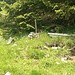 Alte Badewannen weisen den Weg Richtung Latschengasse