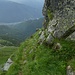 Cengia