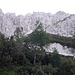 Hier biege ich vom steilen Steiglein auf ein noch steileres Steiglein linker Hand ab.