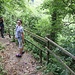 nach dem Flug geht es hinab in die Schlucht