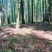 Besuch, kurz vor dem Gipelplateau ebenfalls botanisch, unserer letzten Anhöhe, Weier-Ischlag