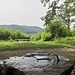 Blick vom Suhrerchopf nach Süden in Richtung Berg (Sendemast).