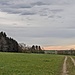 Hinten der heilige Berg Oberschwabens.