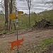 Zusammentreffen mit Donauwelle und Luchs.