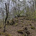 Schon unterwegs am oberen Rücken zum Obernen.