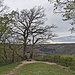 Aussichtspunkt bei der Burg.